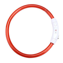 Rechargeable LED Flashing Dog Collar