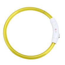 Rechargeable LED Flashing Dog Collar